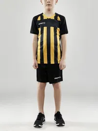1910177-999552_Progress 2.0 Stripe Jersey JR_Closeup5.jpg